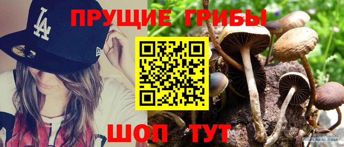 Белебей  магазин  наркотиков  Вход с VPN  Галлюциногенные грибы GOLDEN TEACHER 